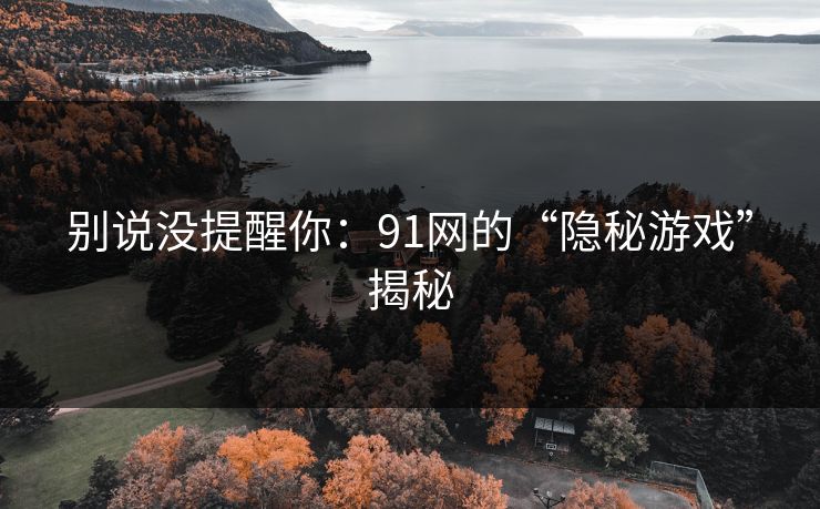 别说没提醒你：91网的“隐秘游戏”揭秘